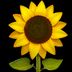 Logo of Sunflower Fund